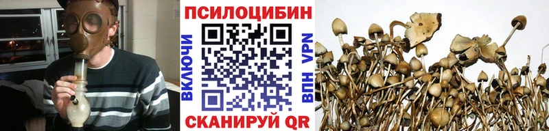 где найти   Апшеронск  блэк спрут ССЫЛКА  Галлюциногенные грибы GOLDEN TEACHER 