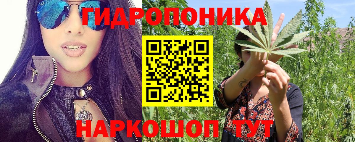 Конопля Ganja Апшеронск